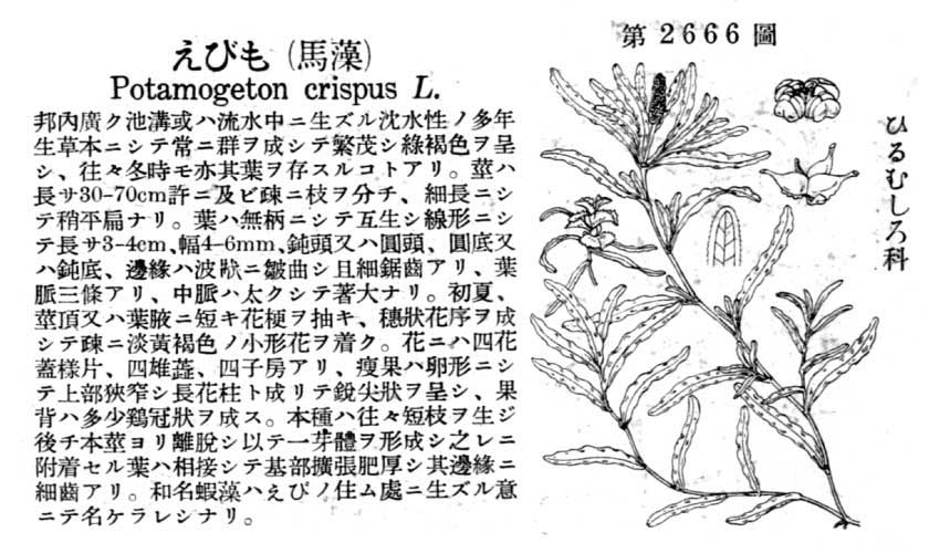 植物図鑑