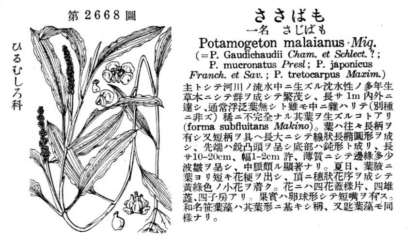 植物図鑑