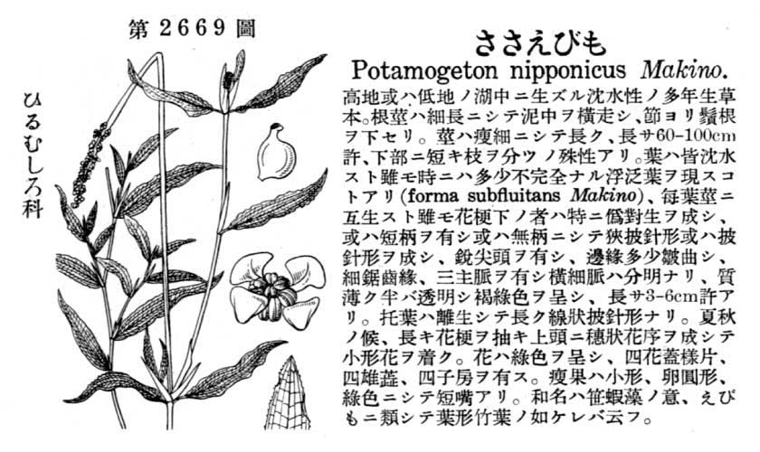 植物図鑑