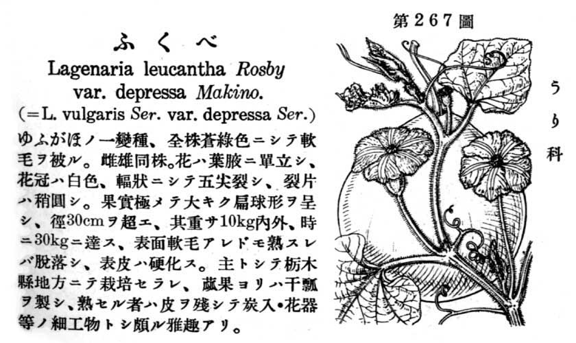 植物図鑑