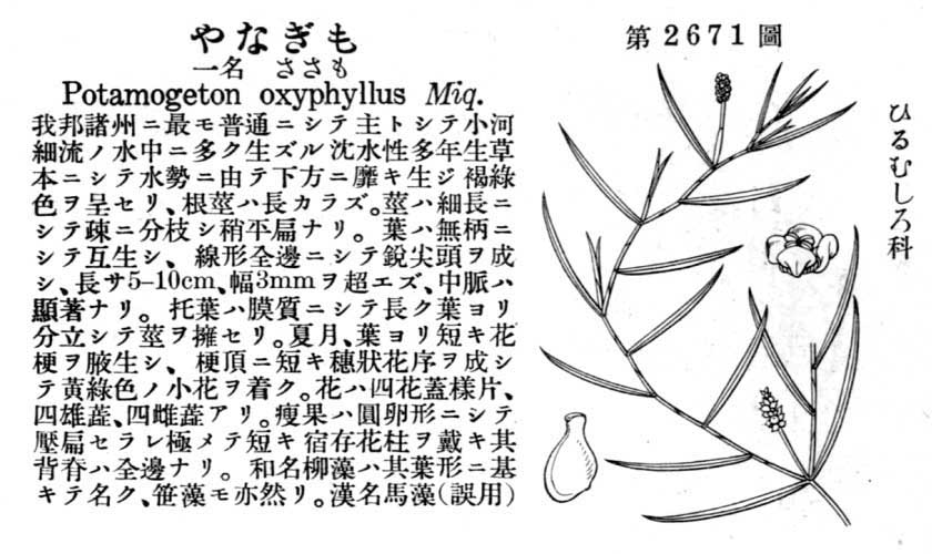 植物図鑑