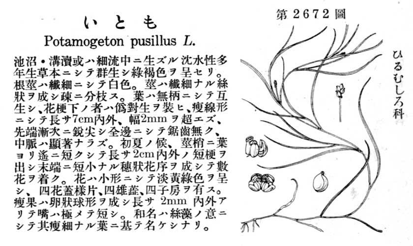 植物図鑑