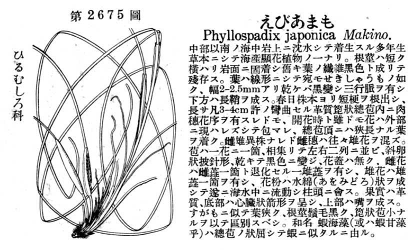 植物図鑑