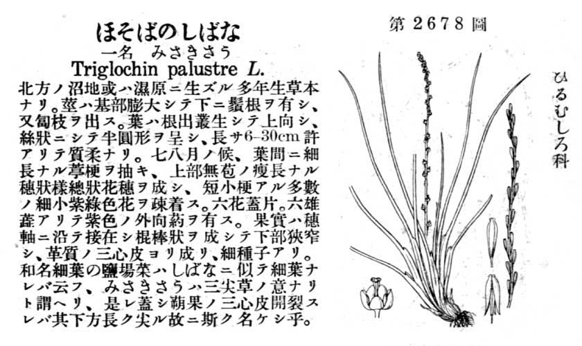 植物図鑑