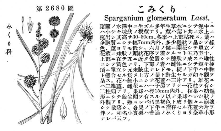 植物図鑑