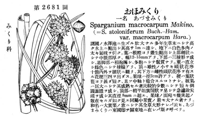 植物図鑑