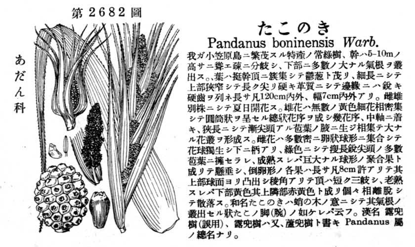 植物図鑑