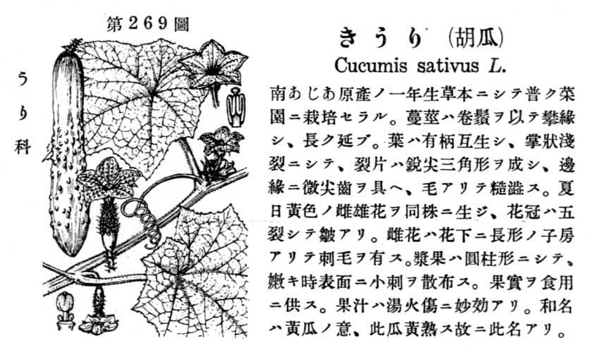 植物図鑑