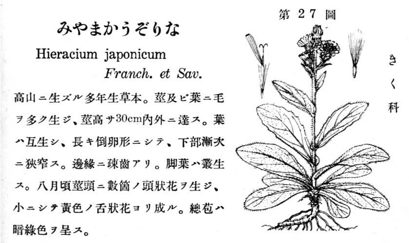 植物図鑑