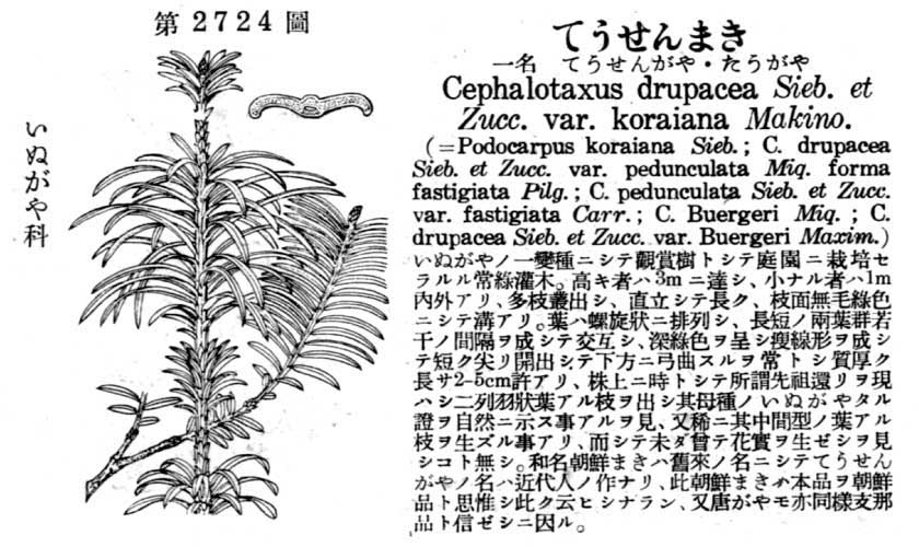 植物図鑑