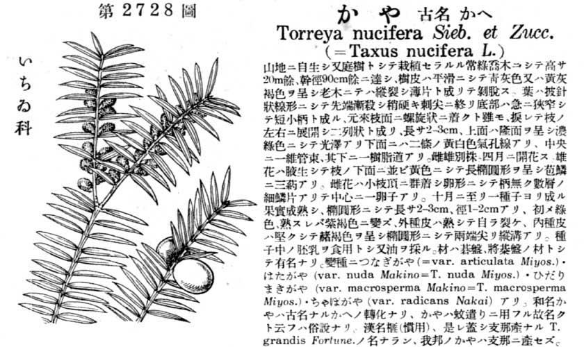 植物図鑑