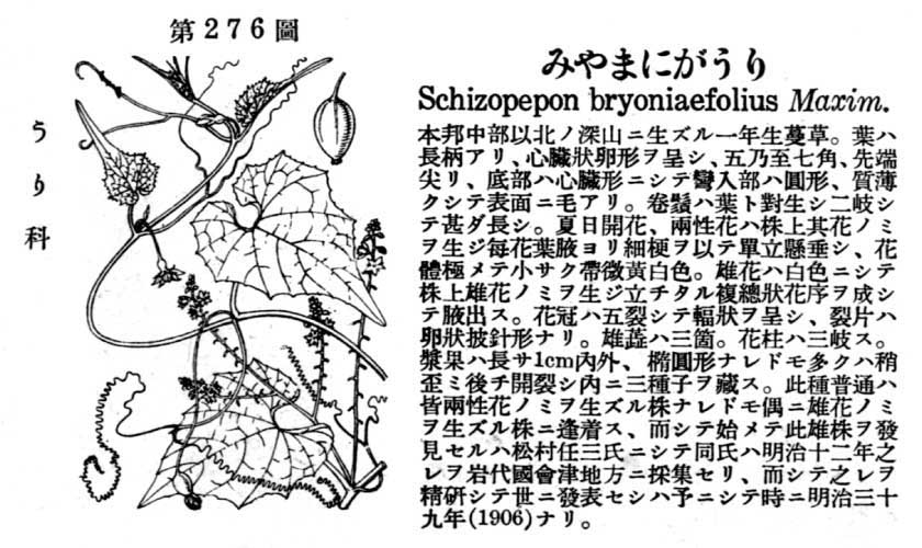 植物図鑑