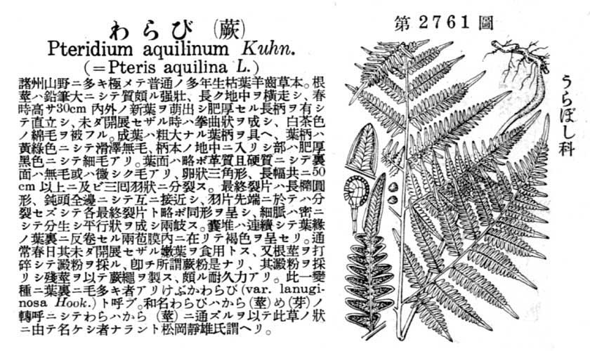 植物図鑑