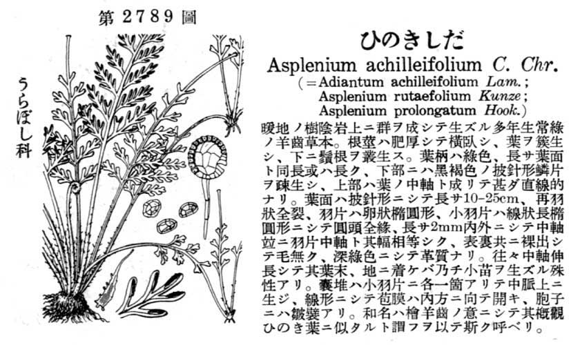 植物図鑑