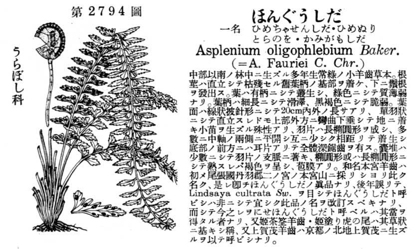 植物図鑑