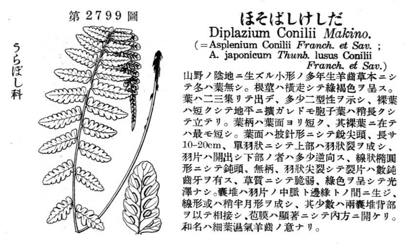 植物図鑑