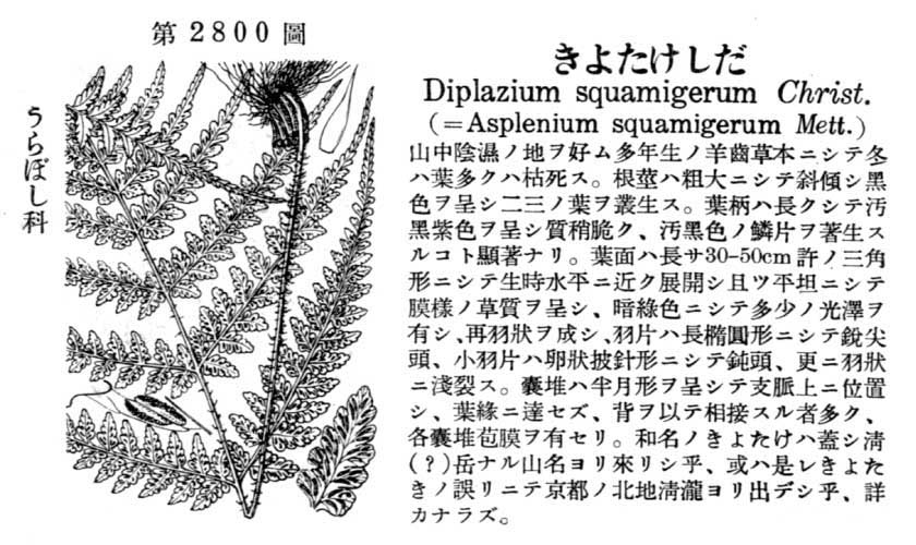 植物図鑑