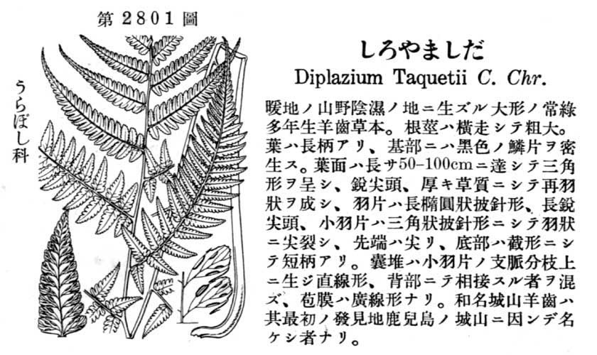 植物図鑑