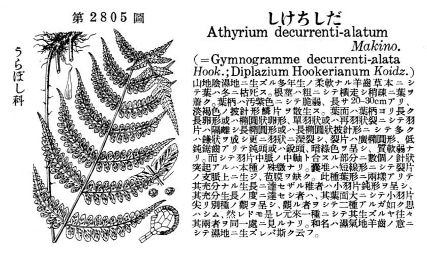 植物図鑑