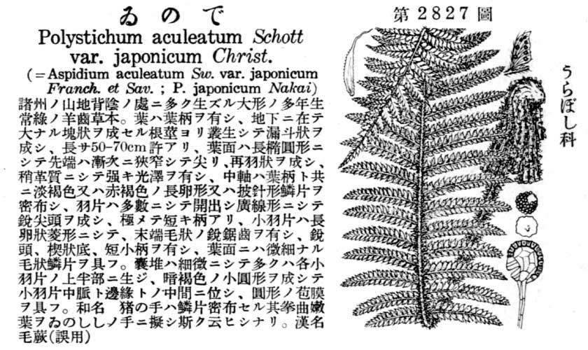 植物図鑑