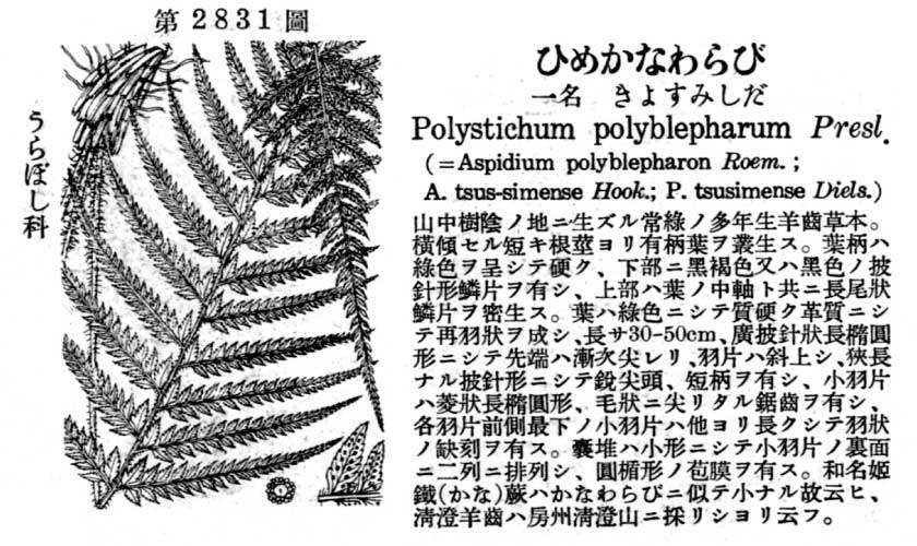 植物図鑑