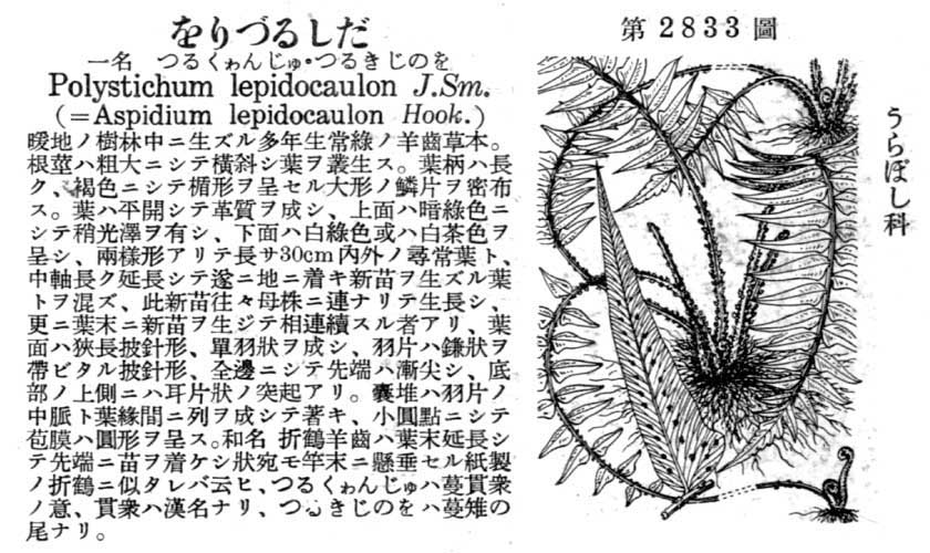 植物図鑑