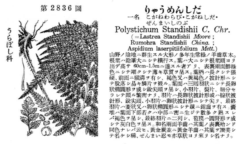 植物図鑑