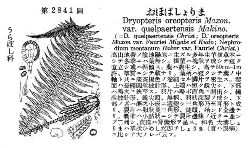 植物図鑑