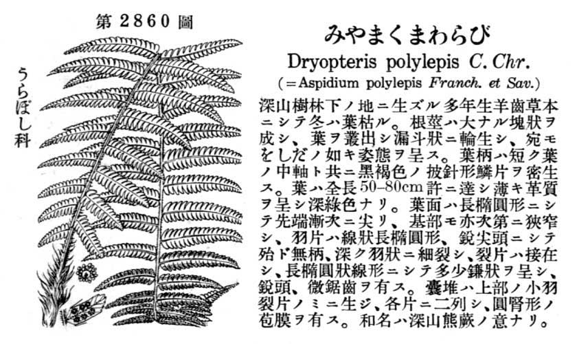 植物図鑑