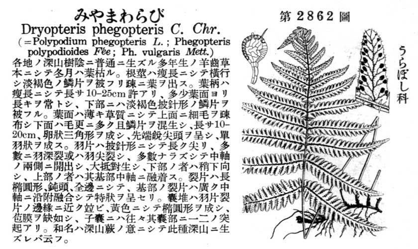 植物図鑑