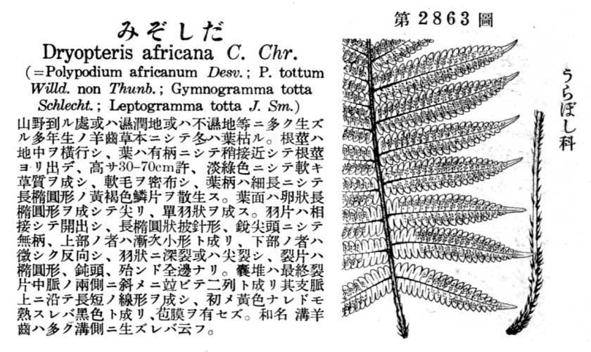 植物図鑑