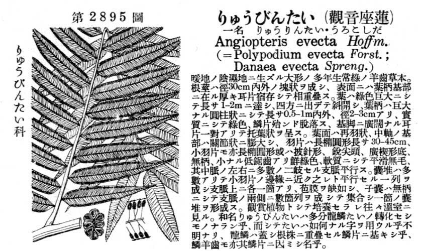 植物図鑑