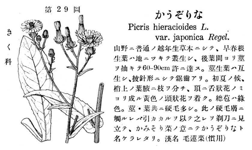 植物図鑑