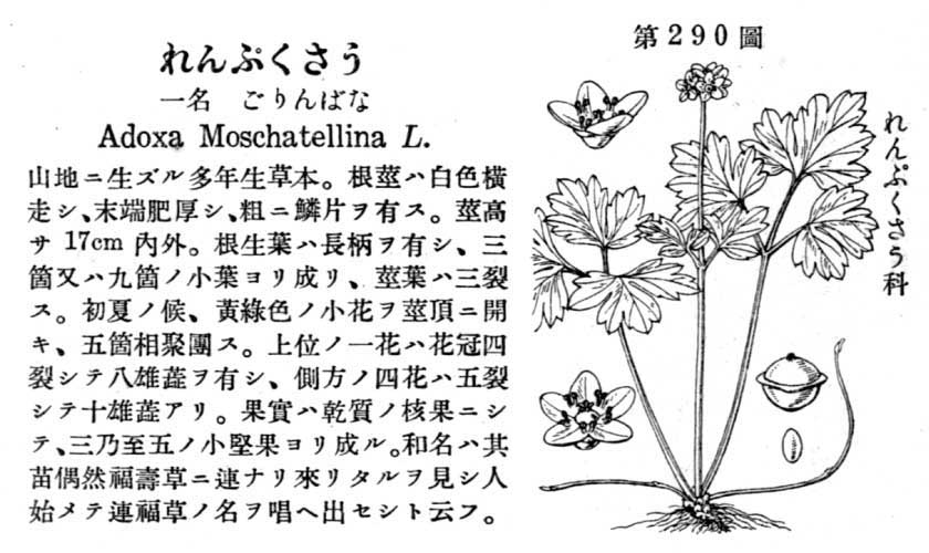 植物図鑑