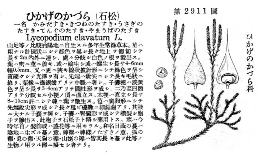 植物図鑑