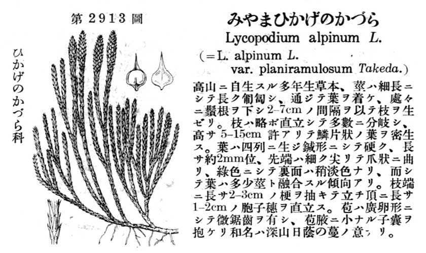 植物図鑑