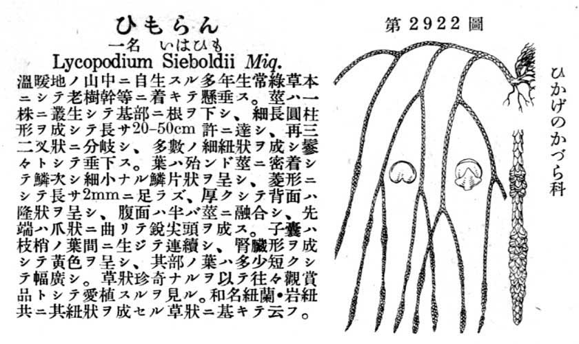 植物図鑑