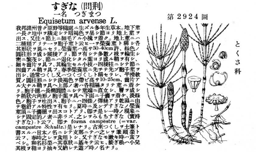 植物図鑑