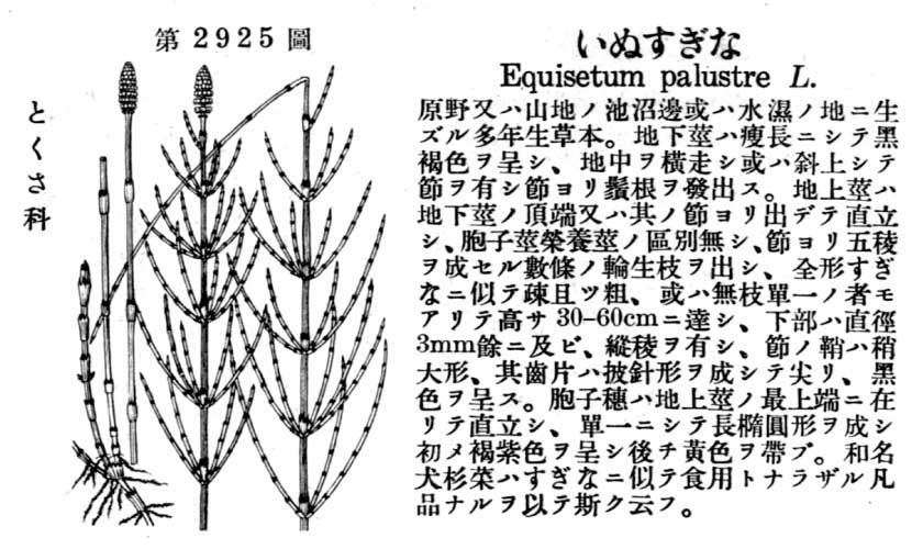 植物図鑑