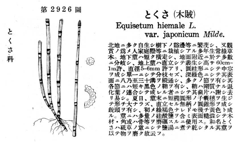 植物図鑑