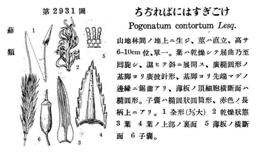 植物図鑑