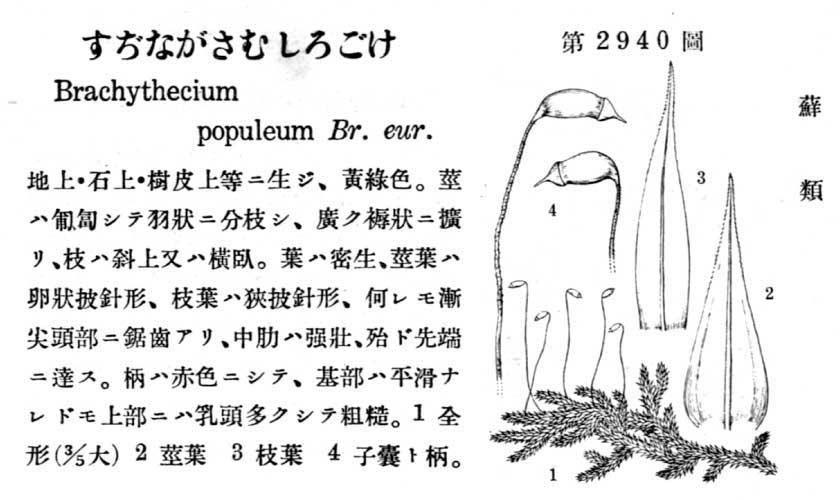 植物図鑑