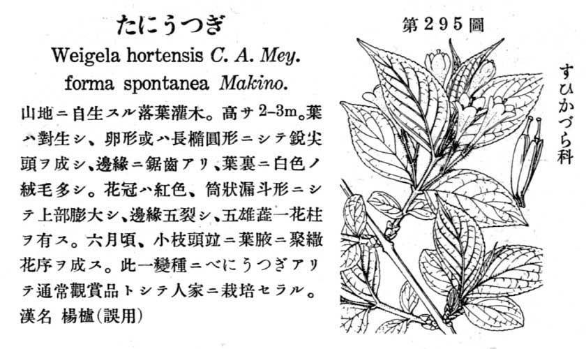 植物図鑑