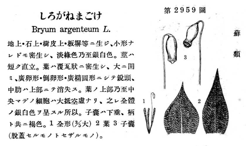 植物図鑑