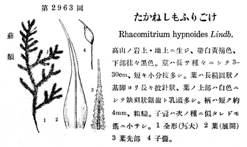 植物図鑑