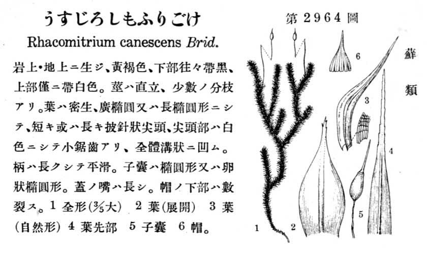 植物図鑑