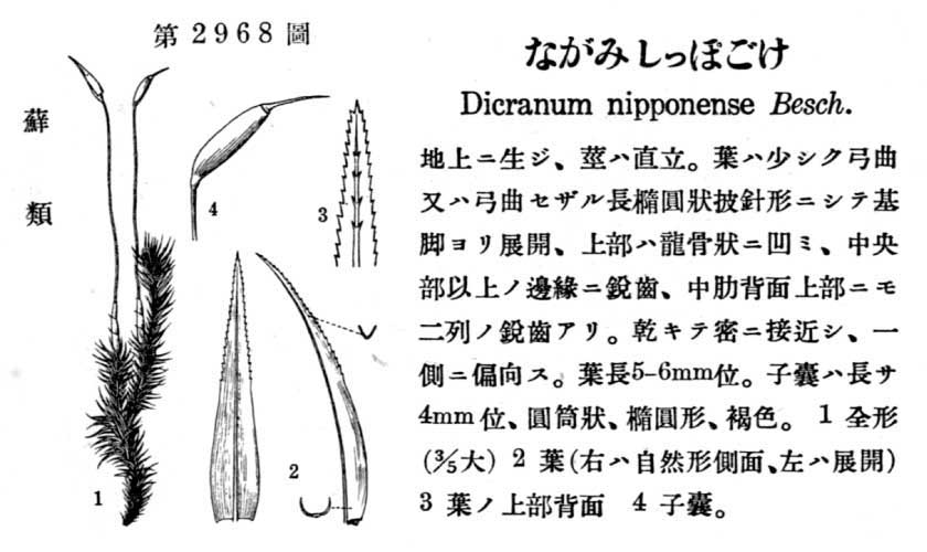 植物図鑑