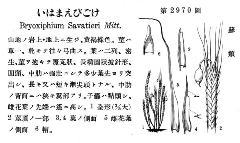 植物図鑑