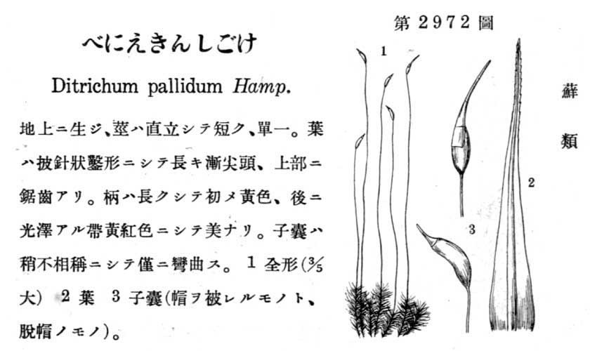 植物図鑑