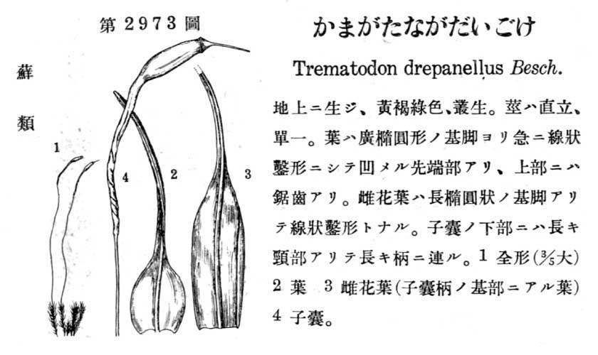 植物図鑑